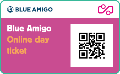 Blue amigo ticket English