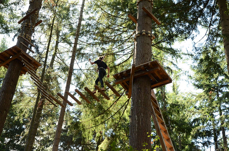 Climbing Forest Rotterdam