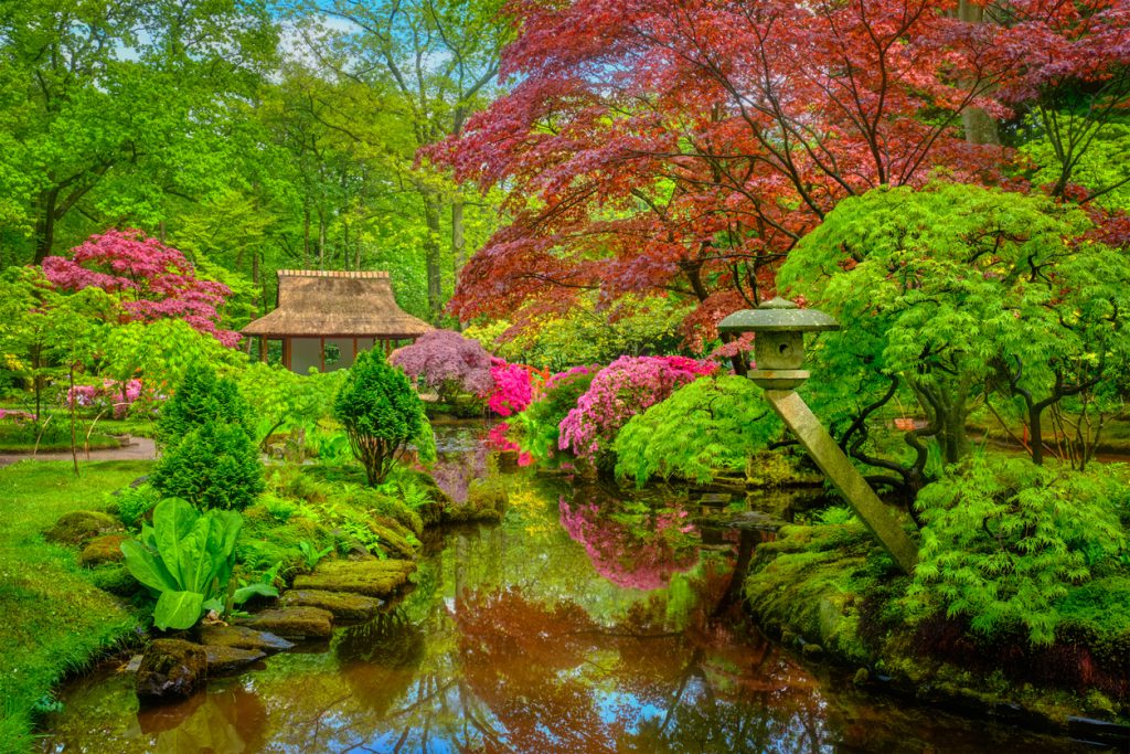 Japanese-garden-park-clingendeal